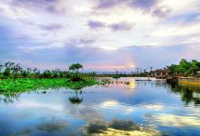 异龙湖万亩荷花园景点图片