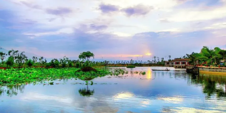異龍湖萬畝荷花園