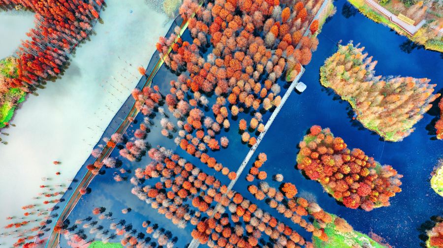 上海青西郊野公园