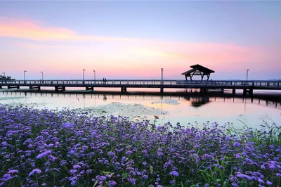 苏州阳澄湖半岛旅游度假区