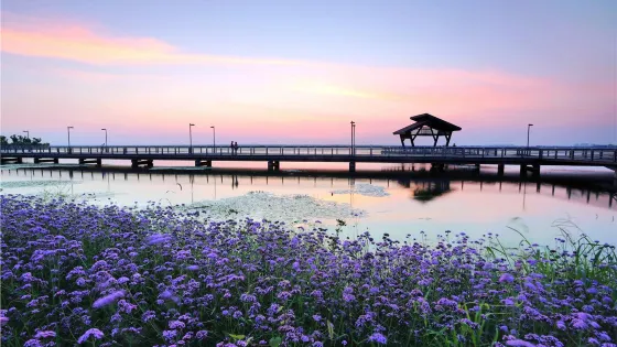 蘇州陽澄湖半島旅遊度假區