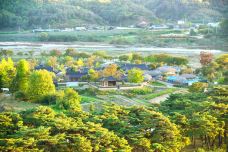 安东河回村-安东市-doris圈圈