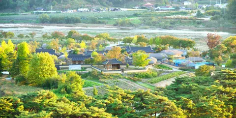 河回村