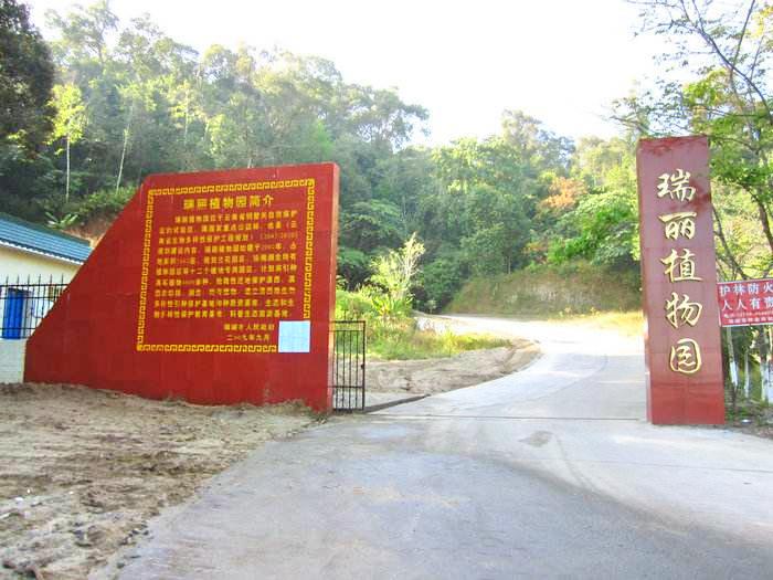 瑞丽植物园