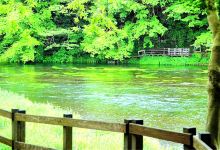Kakita River Park景点图片