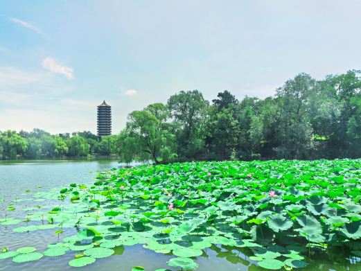 北京大学-未名湖
