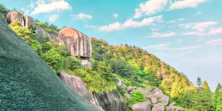 玉蒼山森林公園