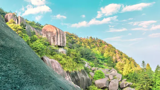 玉蒼山森林公園