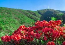 大围山国家森林公园-浏阳-chenaoao520