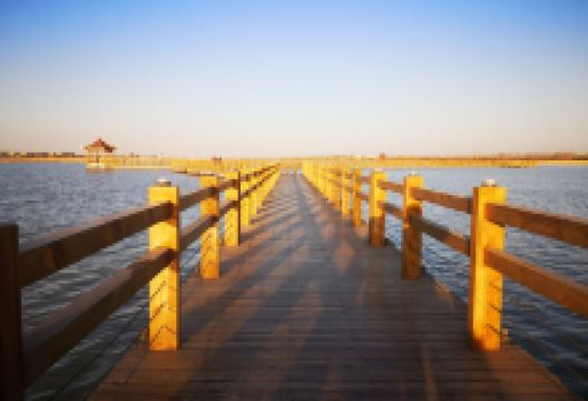 镇赉县环城国家湿地公园景点图片