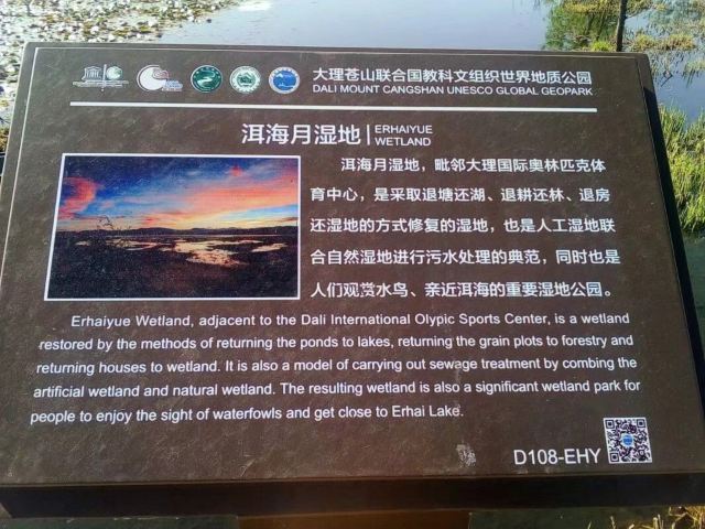 洱海月湿地公园旅行图片 1