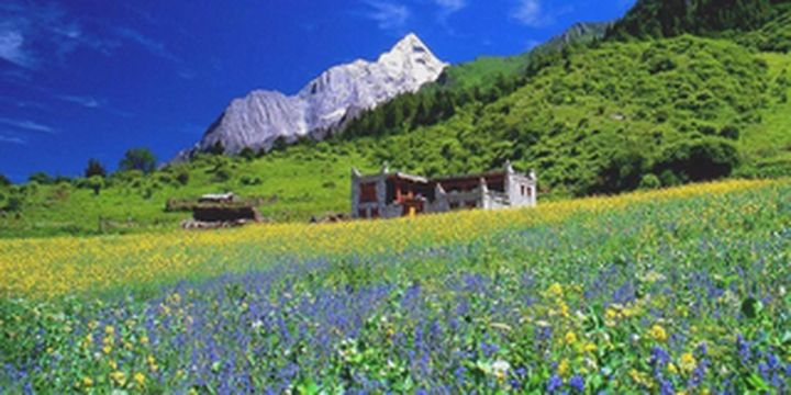 五月！恰逢花开，小金等你来！