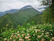 卧龙中华大熊猫苑神树坪基地-汶川-CD云上