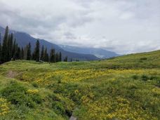 库尔德宁景区-巩留-乐乐大乐乐dolores