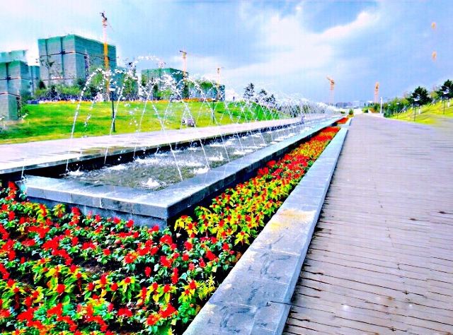浑南新城中央公园旅行图片 12