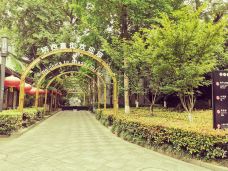 桥西历史街区-杭州-平安夜的蚊子