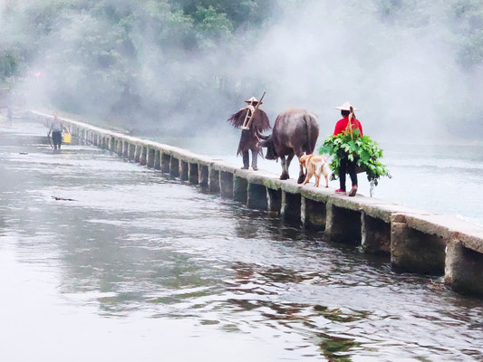 2019年5月行走浙江丽水山水间