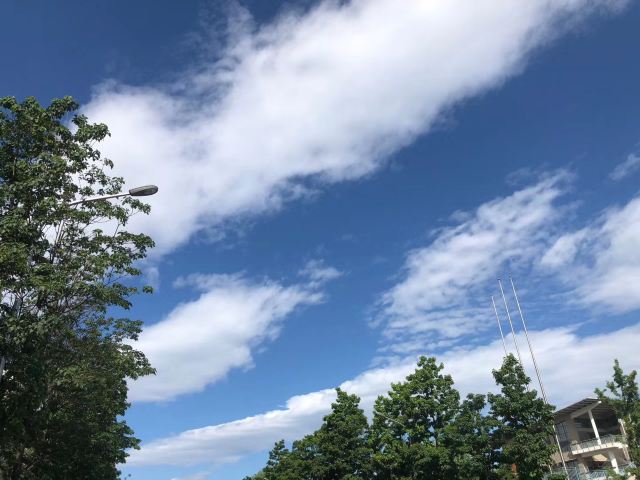 中关村公园旅行图片 3