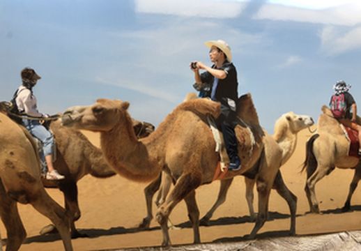 阳光、沙漠、骆驼队——鄂尔多斯响沙湾之旅(王志明)