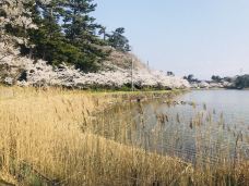 勢至公園-仁贺保市-YoYo_1S9K1J3J