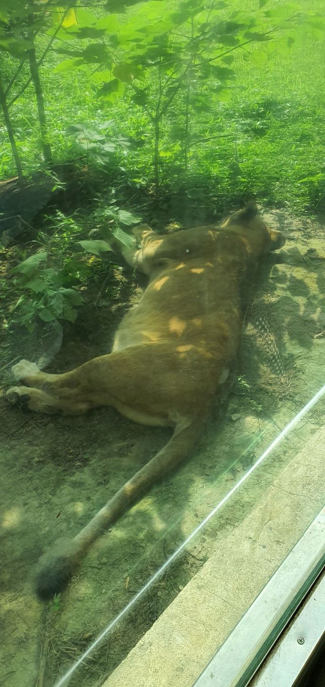 Taipei Zoo