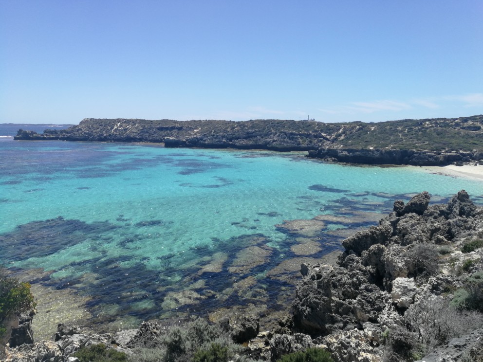 Rottnest Island perth