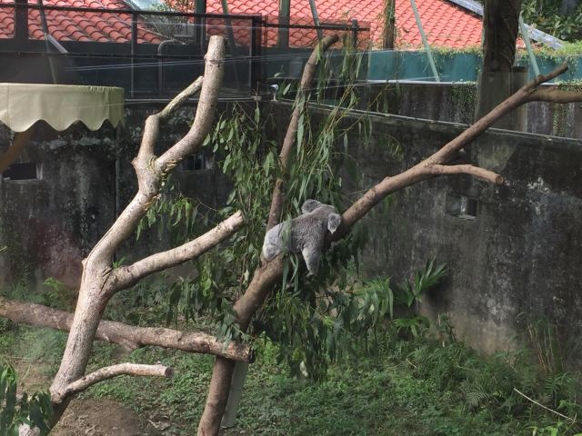 Taipei Zoo