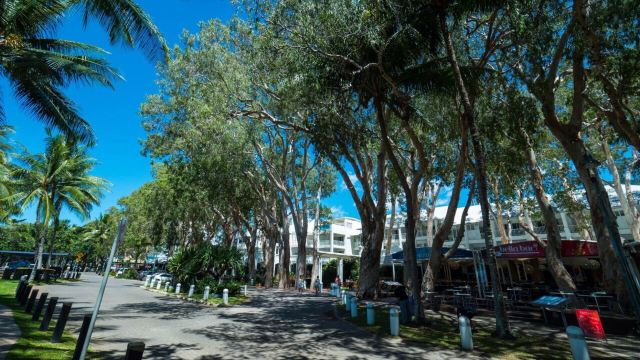 Palm Cove