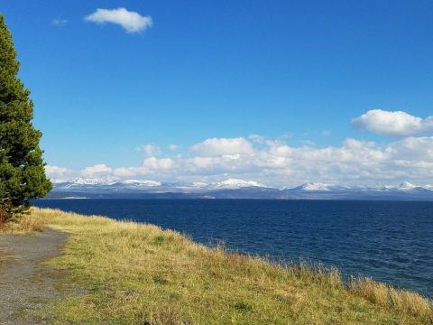 Lake Yellowstone Hotel Dining Room