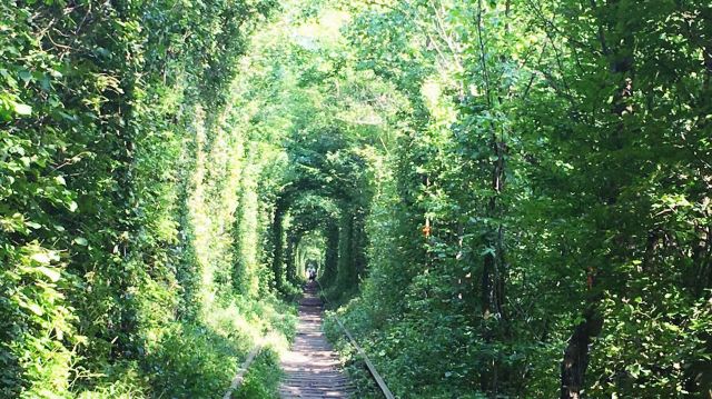 Tunnel of Love