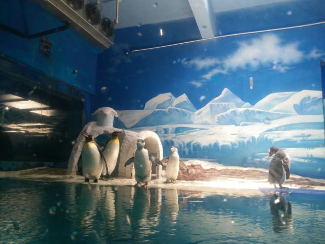 Xiaomeisha Sea World