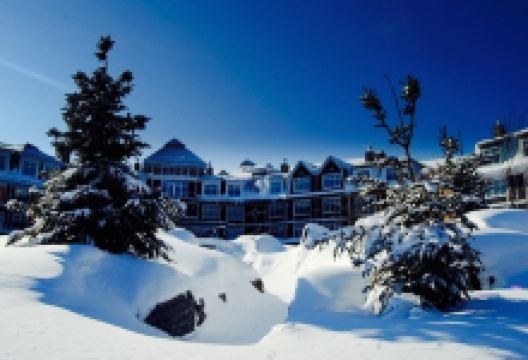 Cottages美食图片