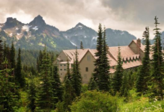 Mt Rainier Paradise Inn Restaurant美食图片
