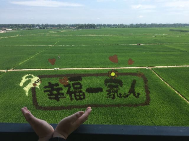 稻夢空間