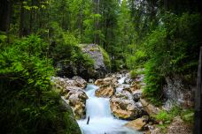 魔法森林-拉姆绍-doris圈圈