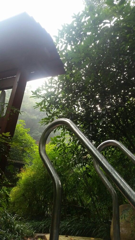 Emei Mountain Guanling Forest Hot Spring