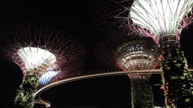 新加坡濱海灣花園