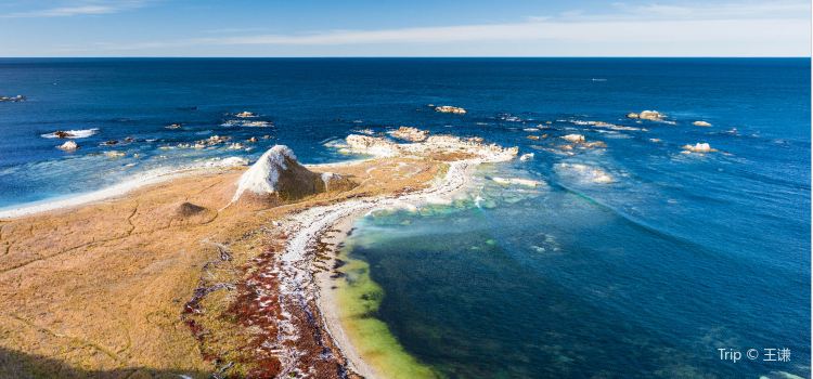 Kaikoura District Travel Guides 2020 Kaikoura District