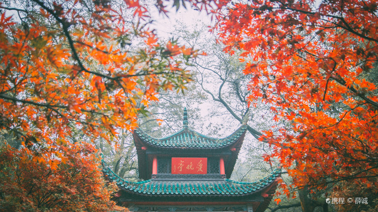 衡阳旅行社服务排名揭晓，中铁国旅靠实力出圈