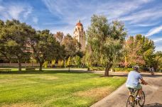 斯坦福大学-斯坦福-doris圈圈