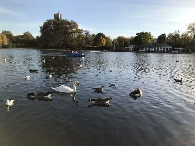 Hyde Park