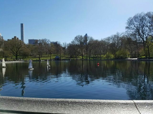 Central Park