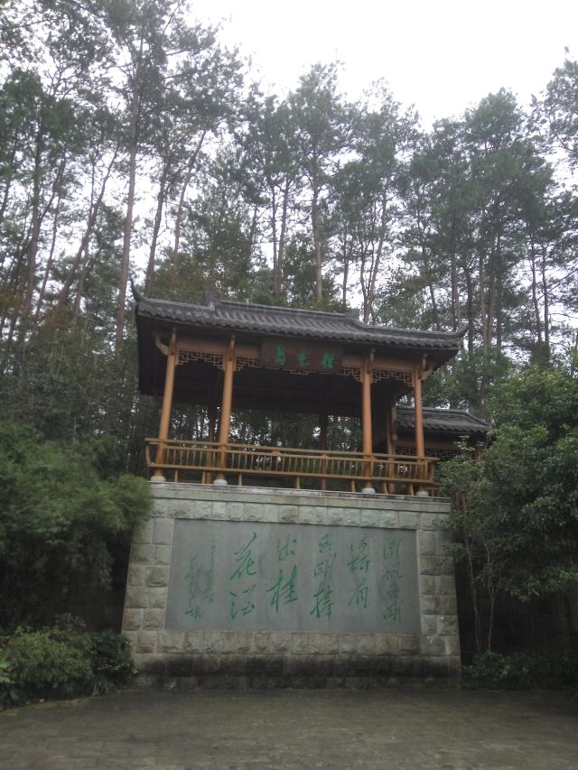 구이화다오
