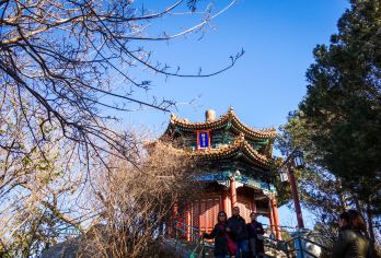 景山公园半日游【可选10人团或包团/可选中英粤等多语言讲解】【[听·资深大咖趣味分享]三分看景，七分听讲；严选10年以上的资深讲师，2小时带您了解元明清三代御苑】