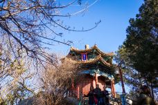 景山公园-北京-doris圈圈