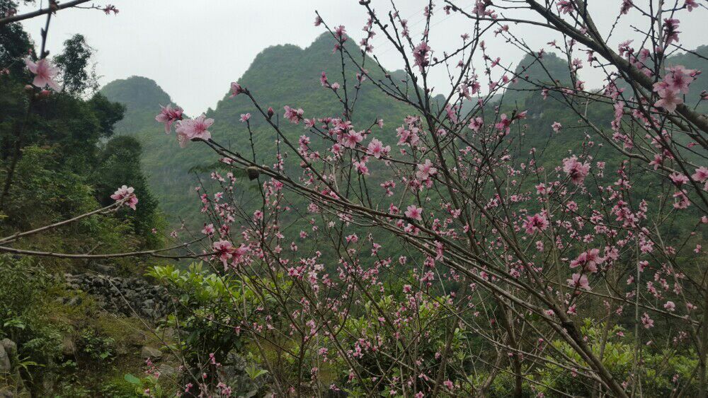 广西八巴马印象