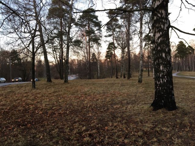 Sibelius Park & Monument