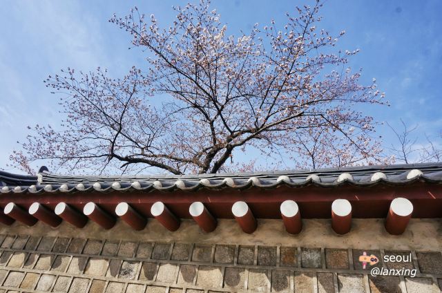 경복궁