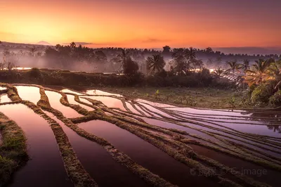 巴厘岛看梯田
