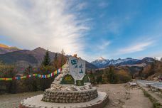 猫鼻梁-小金-doris圈圈